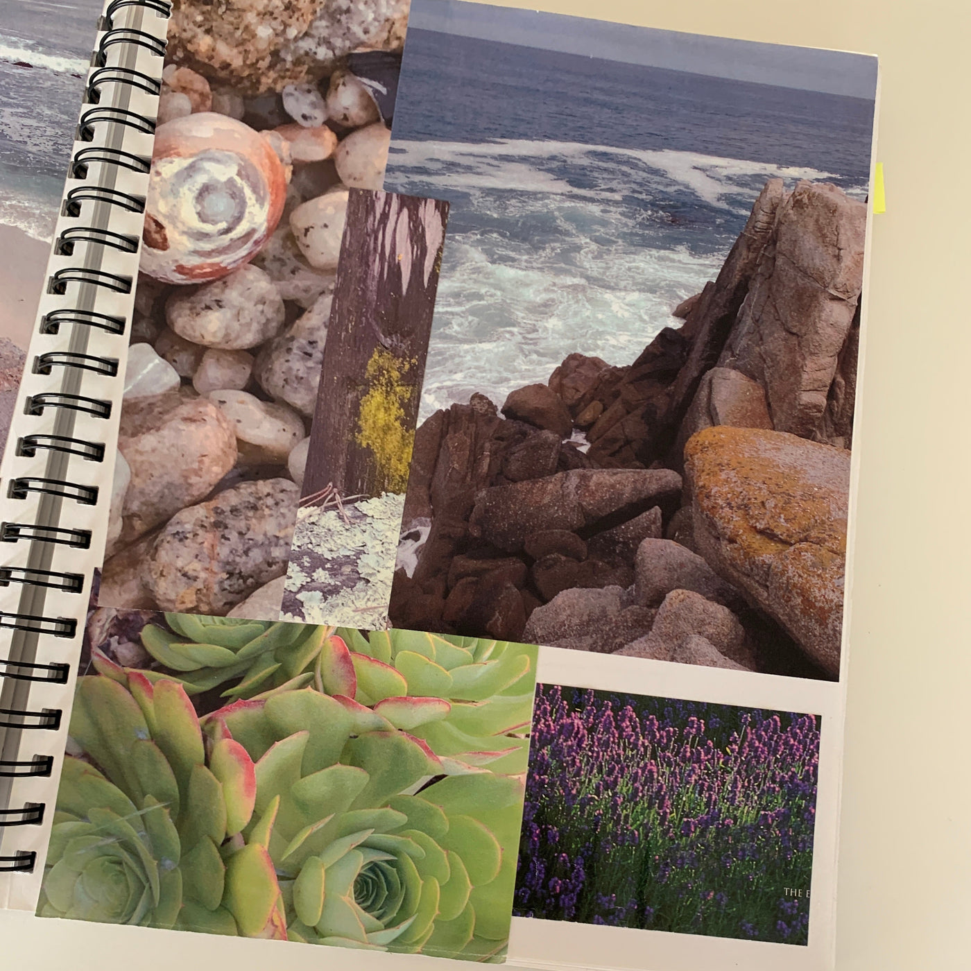 Dreaming in Color with Jean Wells on 4/17-18/2026