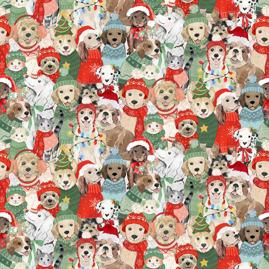 Santa Paws Digital Posing Pets Multi Y4428-55