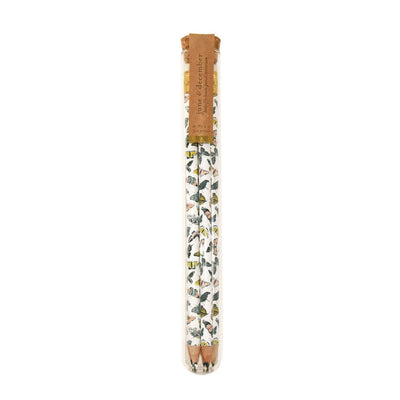 June & December - Butterfly Pencil Terrarium, Set of 5 Pencils