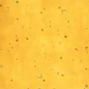 Ombre Galaxy - Mustard - 10873 213M
