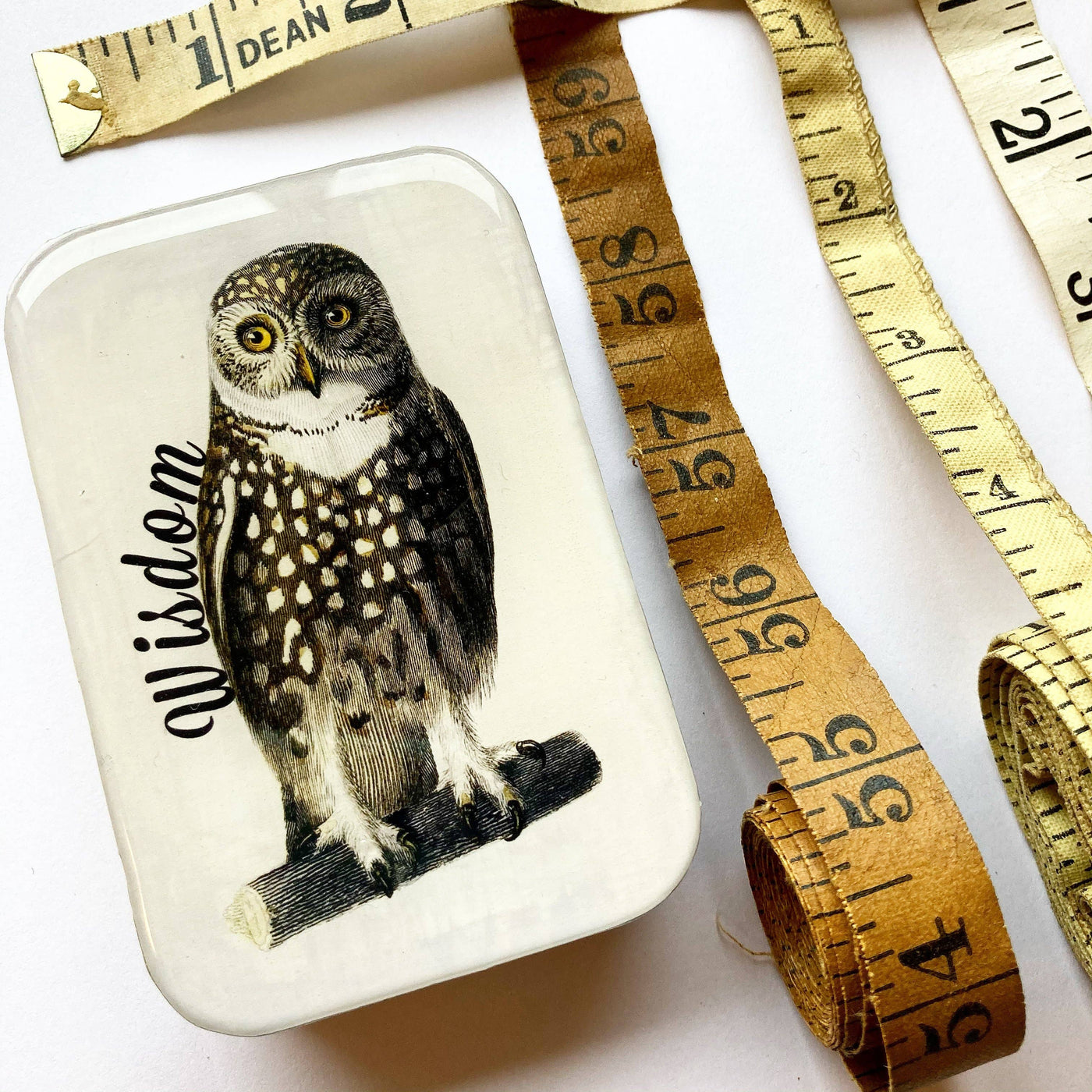 Firefly Notes - Wise Owl Tin: Small