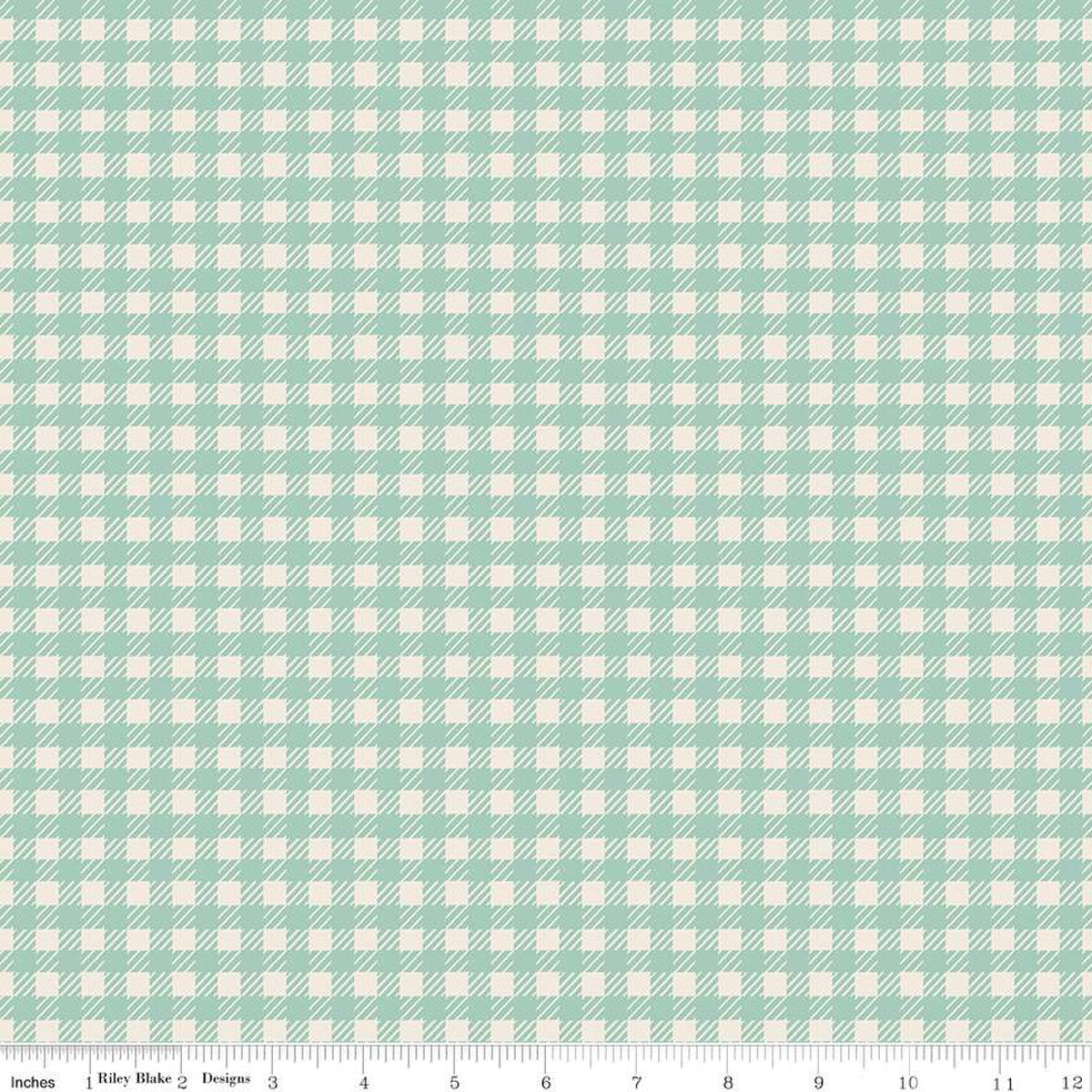 In The Afterglow Gingham in Mint C13373-Mint