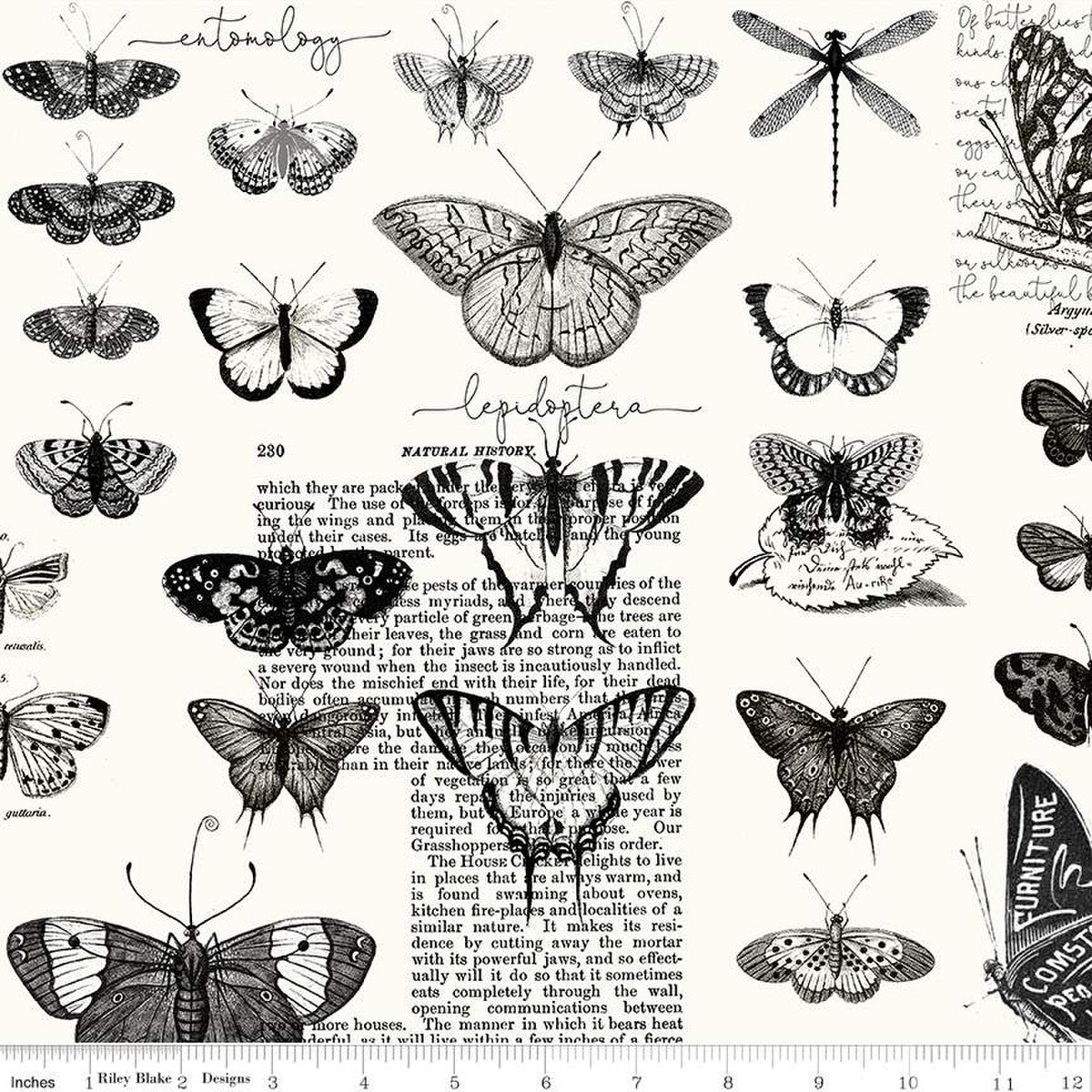Art Journal Butterflies in White by J. Wecker Frisch C13035 White