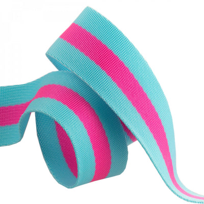 Tula Pink Webbing 2yd x 1.5" Aqua/Hot Pink