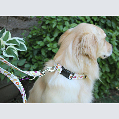 DIY Dog Collar & Leash Pattern - PDF