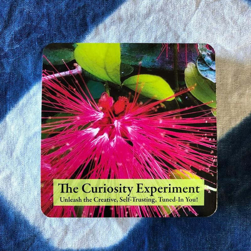 The Curiosity Experiment Cards