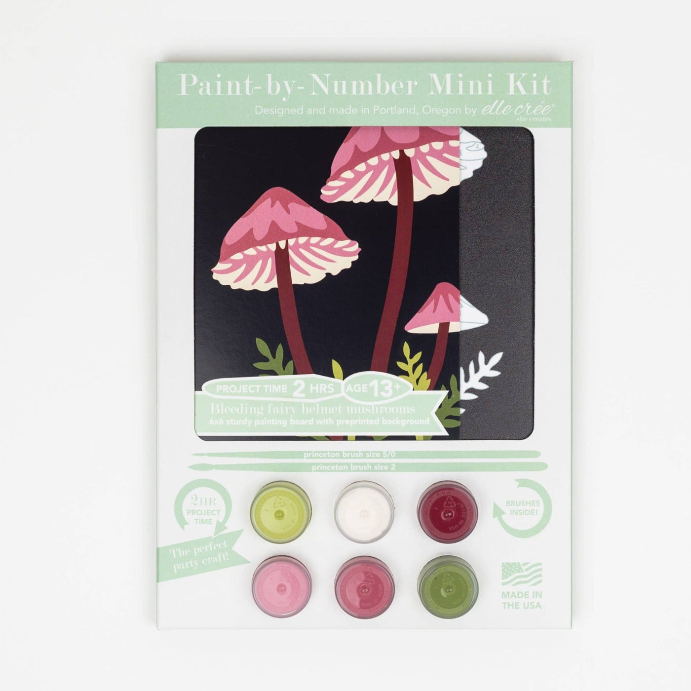 Bleeding Fairy Helmet Mushrooms MINI Paint-by-Number Kit