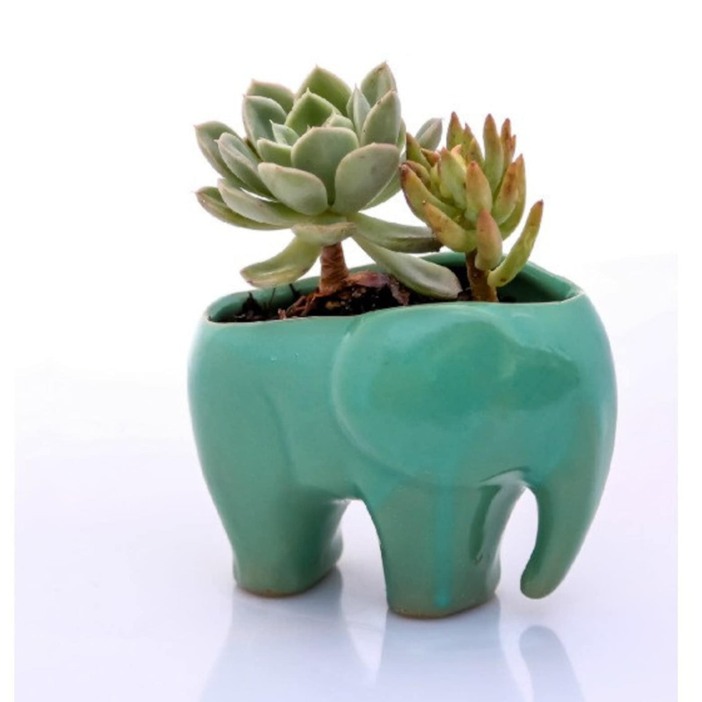 Planter Modern Elephant by Claylicious - Asian Green